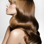 03__MG_8049RT2 (786x1000)