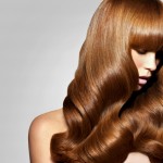 04__MG_89422 (1293x831)