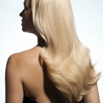 14b__MG_7931 (667x1000)